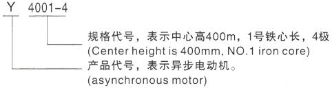 西安泰富西玛Y系列(H355-1000)高压YRKK3553-4三相异步电机型号说明