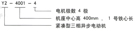 YR系列(H355-1000)高压YRKK3553-4三相异步电机西安西玛电机型号说明